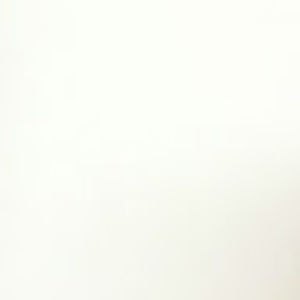 Meet your Posher, Lachelle